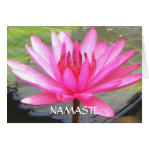 Pond Lotus Tranquillité l Namaste