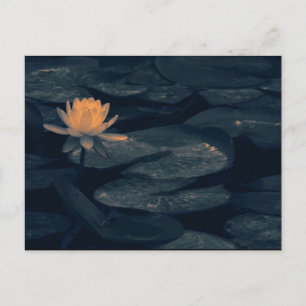 "Pondering At The Pond" - Carte Postale