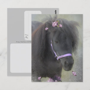 Poney - Carte postale