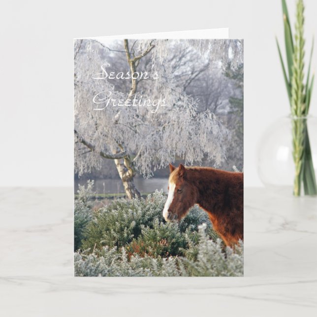 Poney dans la carte de Noël de gel (Devant)
