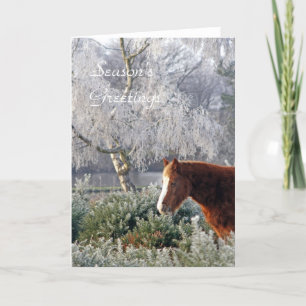 Poney dans la carte de Noël de gel