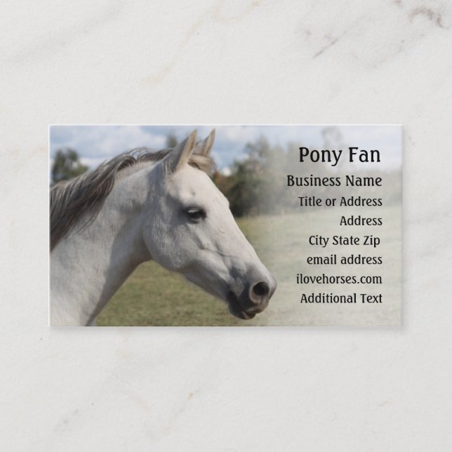 Poney gris - carte de visite de photo (Devant)