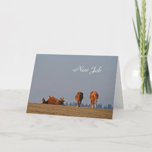 Poney nouvelle carte de travail