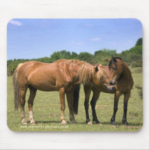 Poneys dans le tapis de souris d'amour