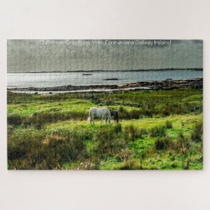 Poneys de Connemara Galway Irlande. Puzzle