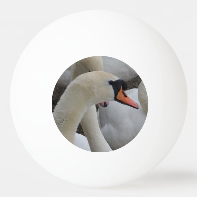Pong Balle de ping à trois étoiles de cygne blanc (Devant)