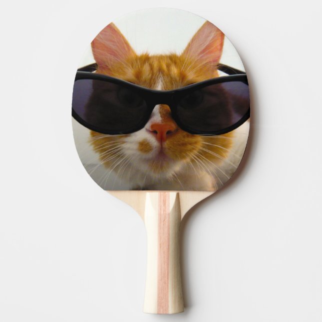 Pong Chat Cool Avec Lunettes De Soleil Raquette De Ping (Devant)