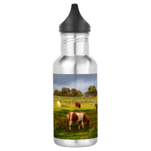 Ponies Et Châtaignes De Shetland, Bouteille D'Eau 