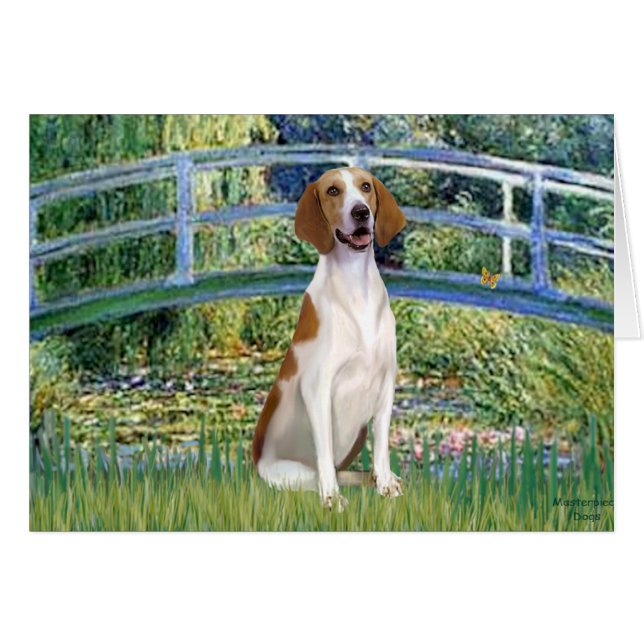Pont - American Foxhound (Devant horizontal)