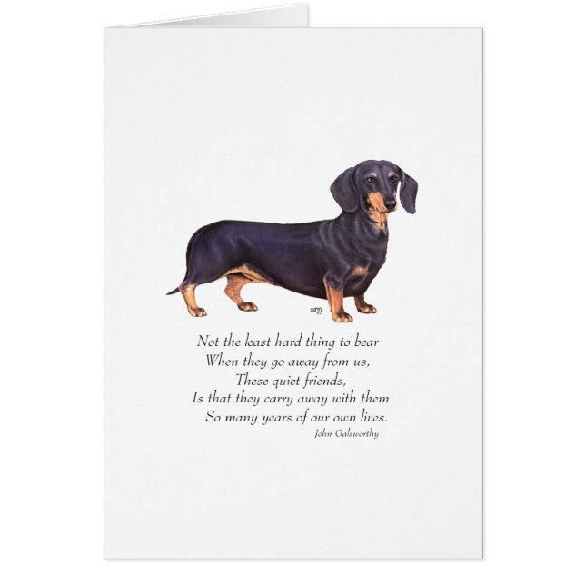 Pont arc-en-ciel des Dachshund (Devant)