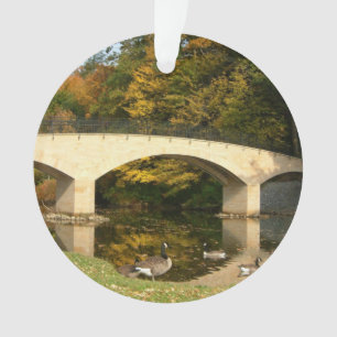 Pont arc-en-ciel en automne au Grove City College