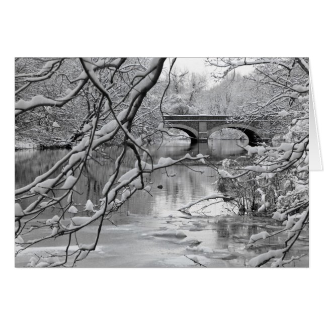 Pont Arch au-dessus de la rivière Froid en hiver (Devant horizontal)