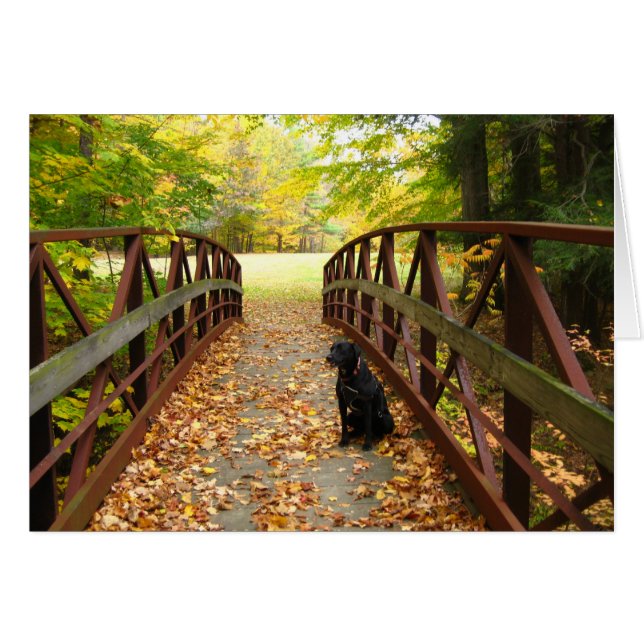 pont avec Cole (Devant horizontal)