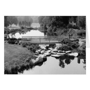 Pont dans la carte de CT