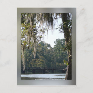 Pont dans la carte postale Swamps