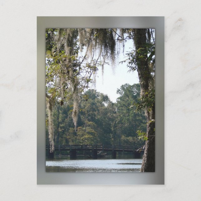 Pont dans la carte postale Swamps (Devant)