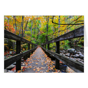 Pont d'automne
