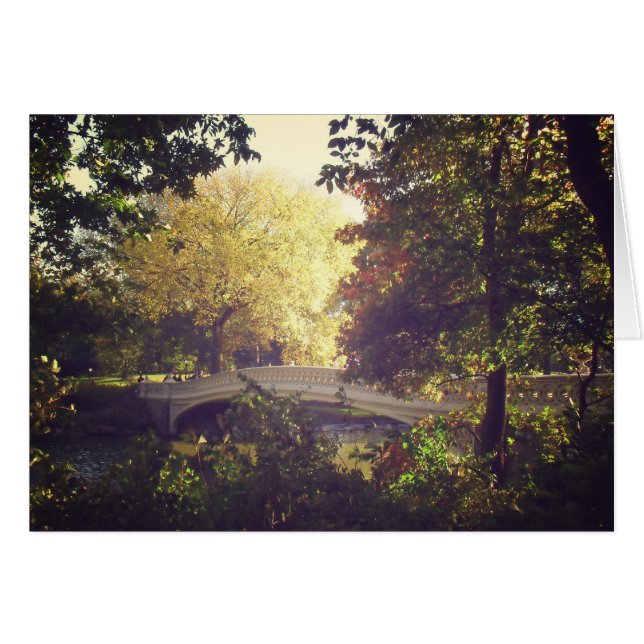 Pont De Bow encadré Par Des Arbres, Central Park,  (Devant horizontal)