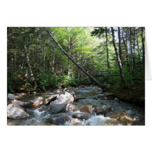 Pont de la rivière Pemigewasset dans le New Hampsh