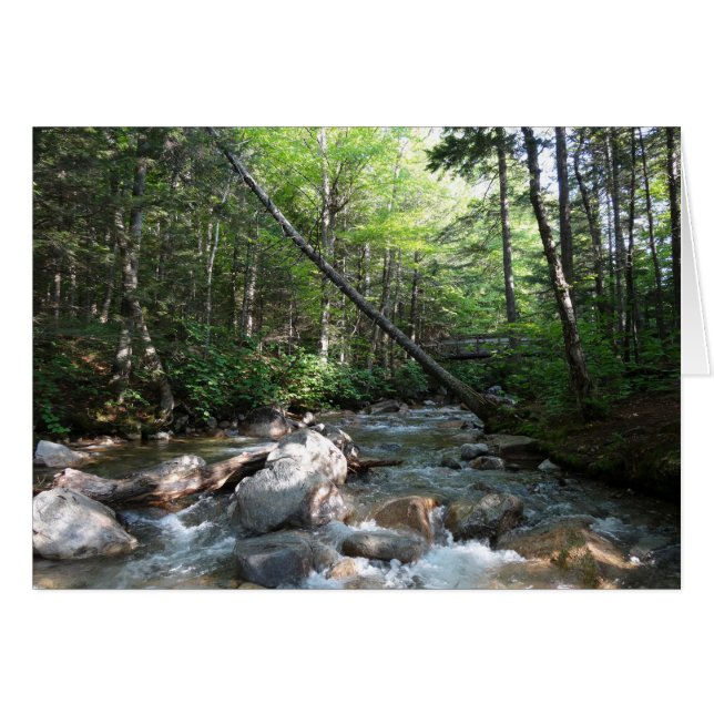 Pont de la rivière Pemigewasset dans le New Hampsh (Devant horizontal)