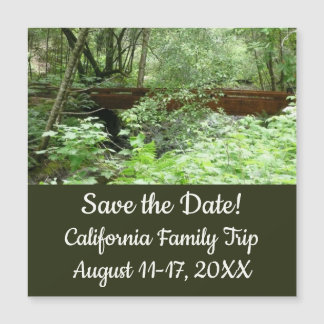 Pont de Muir Woods I