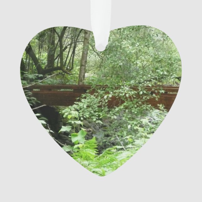 Pont de Muir Woods I (devant)