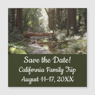 Pont de Muir Woods II