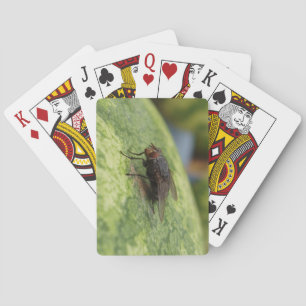 Pont de volée géant de cartes de jeu