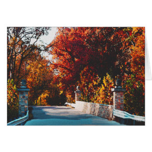 Pont de Wildwood Missouri