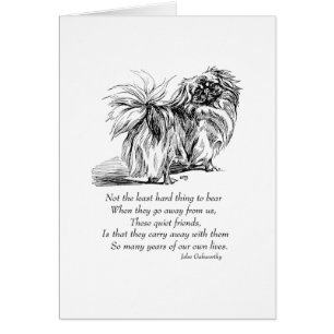 Pont Pekingese Chien Rainbow