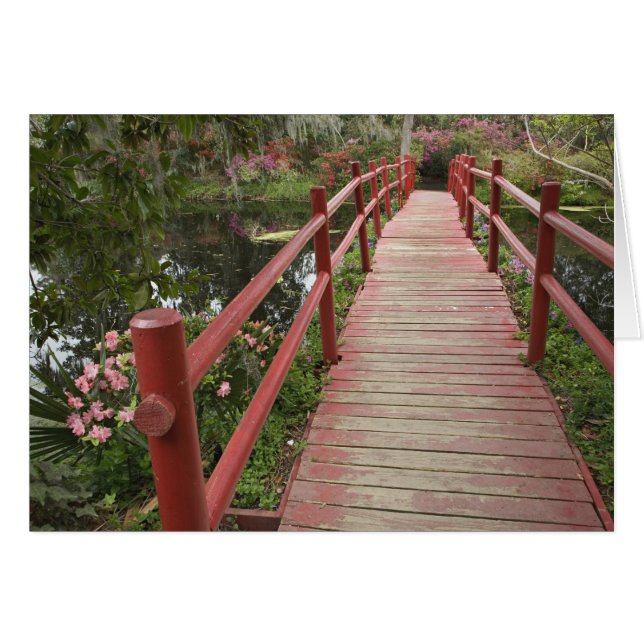Pont rouge sur étang, Magnolia Plantation, (Devant horizontal)