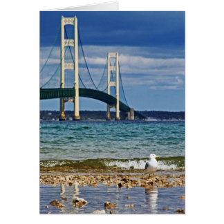 Pont Seagull et Mackinac