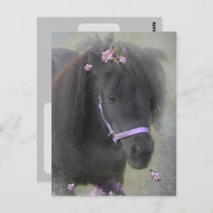 Pony - Carte postale