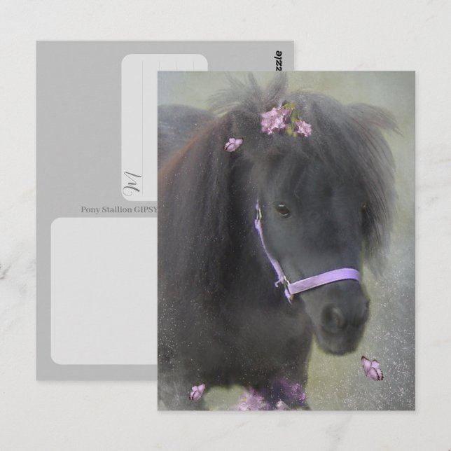 Pony - Carte postale (Devant / Derrière)