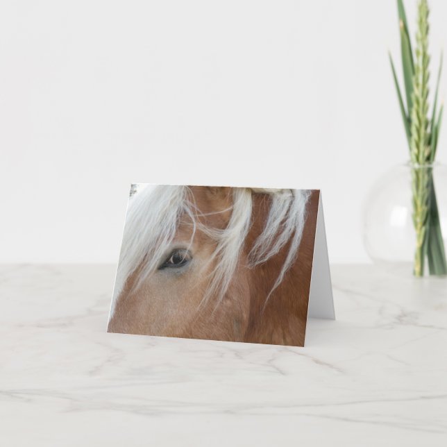 Pony carte pour notes (Devant)