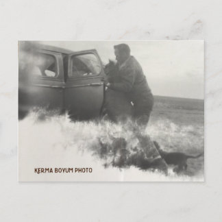 Pony in Car Carte postale