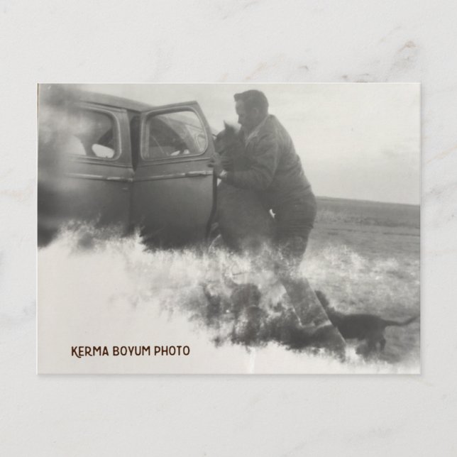 Pony in Car Carte postale (Devant)