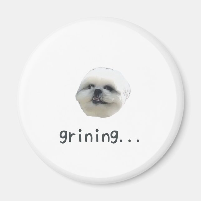 PONZU magnet (Devant)