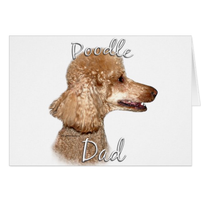 Poodle (abricot) Papa 2 (Devant horizontal)