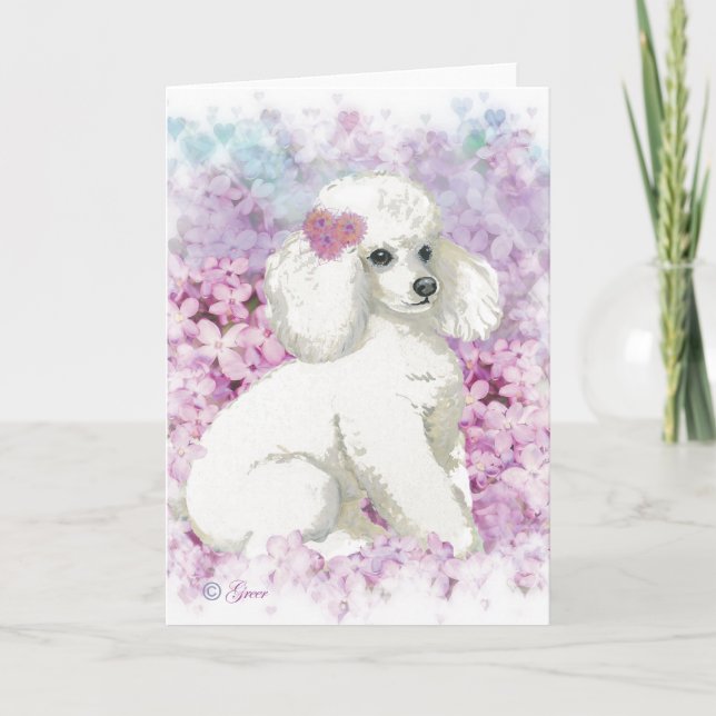 Poodle blanc dans la carte d'impression Art Lilacs (Devant)