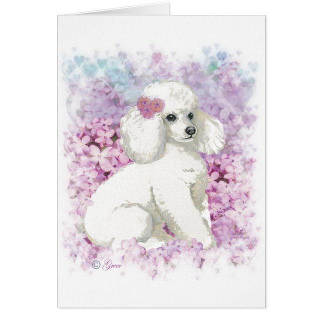 Poodle blanc dans l'art et les cadeaux des Lilacs (Devant)