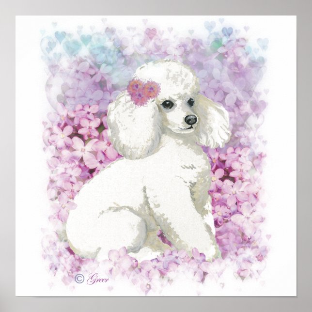 Poodle blanc dans Lilacs Poster Imprimer (Devant)