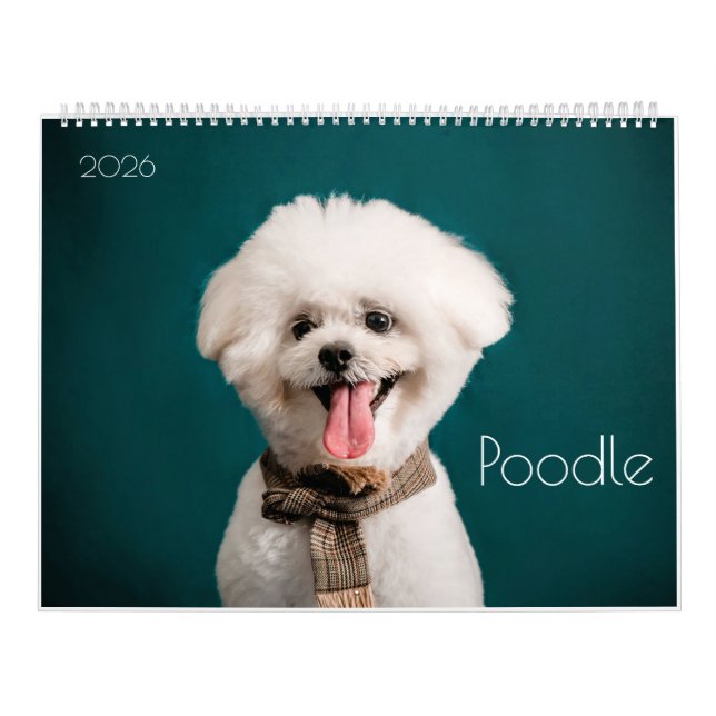 Poodle Cute Poodle Puppies 2024 Calendrier (Protection)