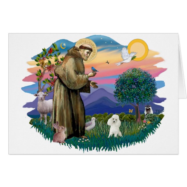 Poodle de jouet (blanc) (Devant horizontal)