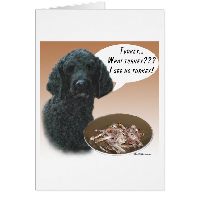 Poodle (noir) Turquie (Devant)