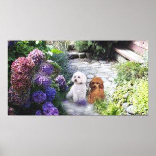 Poodle Poster Hydrangeas