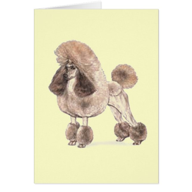 Poodle -- Show Coat (Devant)