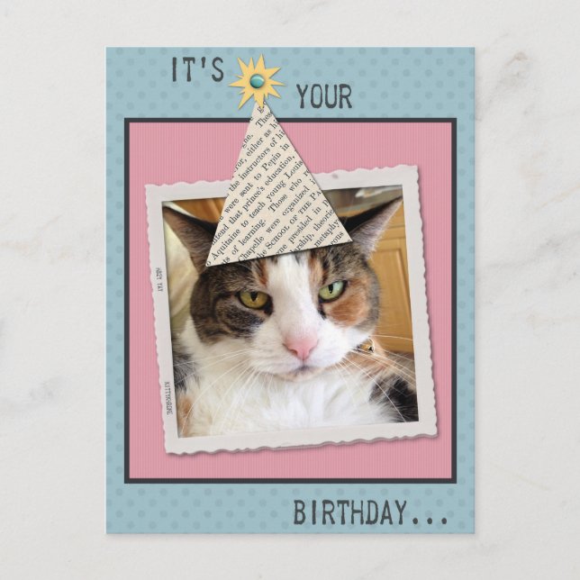 Pookie Cat Anniversaire Carte postale (Devant)