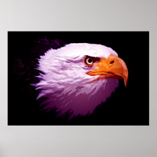 Pop Art Eagles - Bald Eagle Affiches