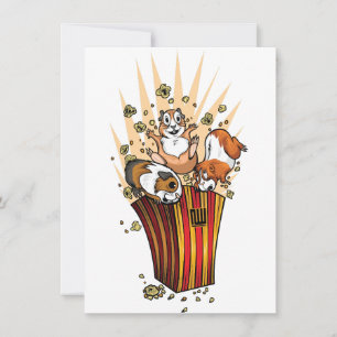 Popcorn de cochons de Guinée